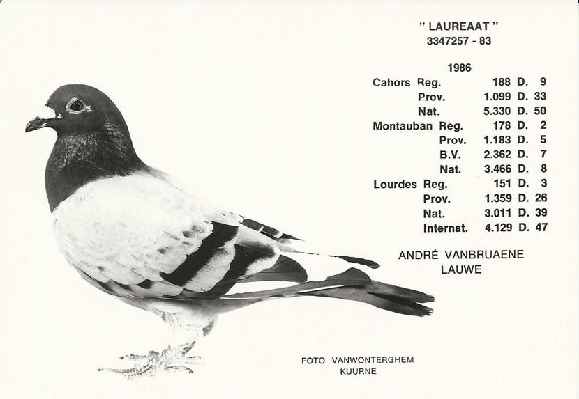  - 1 Andre Vanbruaene O legendă