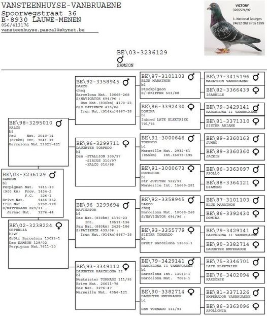  - 1 Andre Vanbruaene O legendă