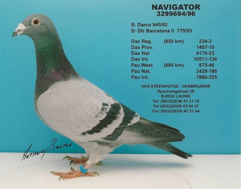  - 1 Andre Vanbruaene O legendă