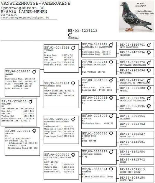  - 1 Andre Vanbruaene O legendă