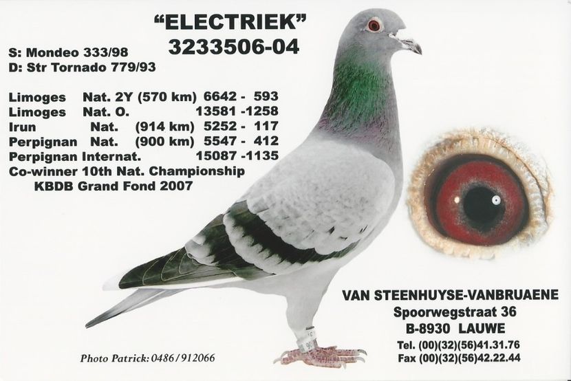  - 1 Andre Vanbruaene O legendă