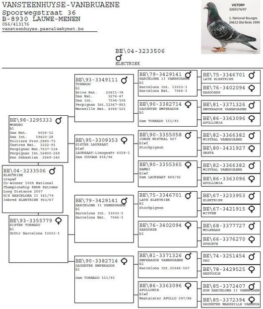  - 1 Andre Vanbruaene O legendă