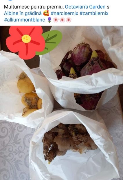  - Premii castigate la concursurile online