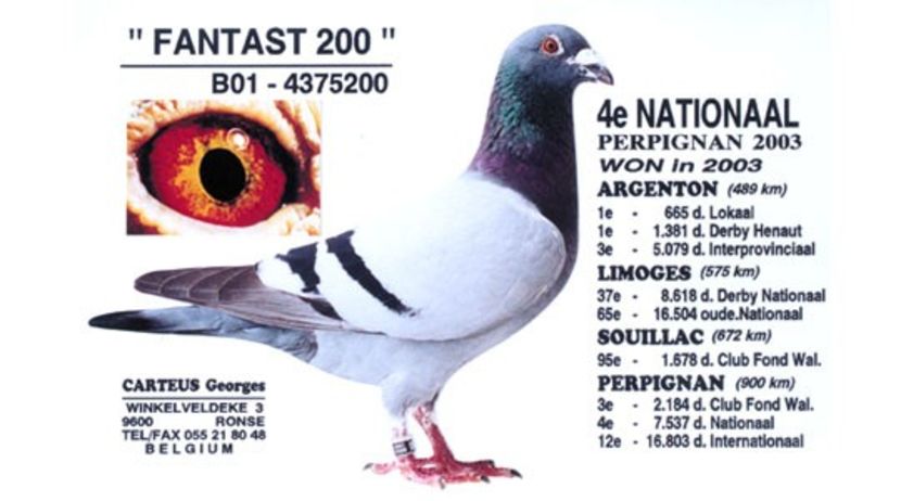 carteus_fantast_200 - Georges Carteus Ronse - Belgie