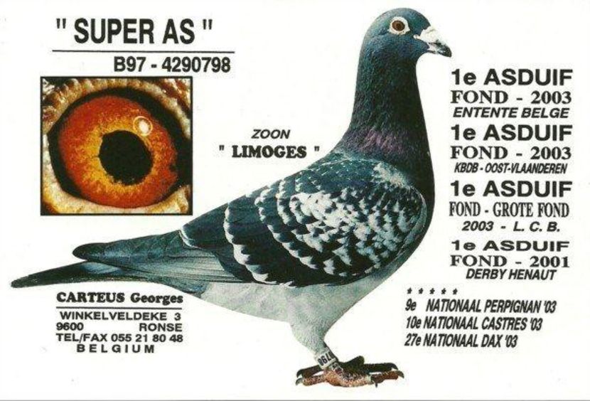 Carteus-Super-As-798 - Georges Carteus Ronse - Belgie