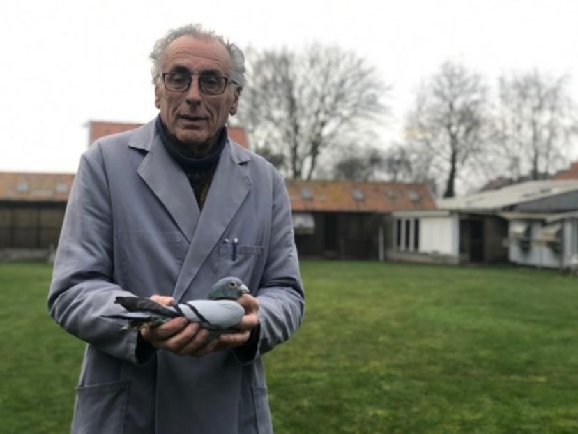 3c966a48-3bb2-11ea-b12a-35b2e61accac_web_scale_0.1984127_0.1984127__ - Noel PEIREN - Zedelgem Belgie