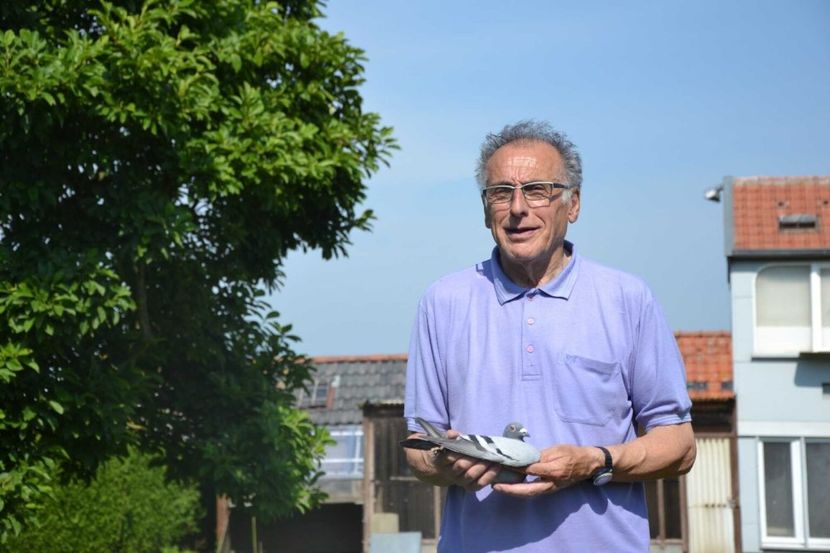  - Noel PEIREN - Zedelgem Belgie