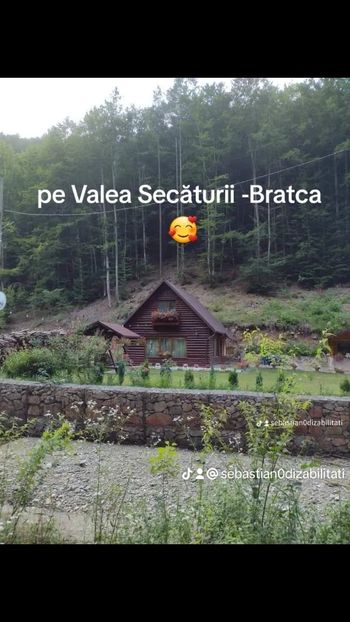 2a286aa142fa05a81db90c372fa99aae_0 - B Poze diverse