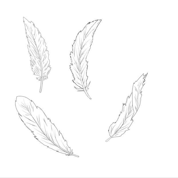  - 00 random