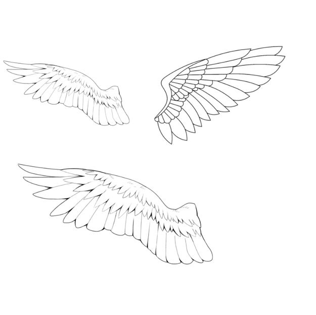  - 00 random