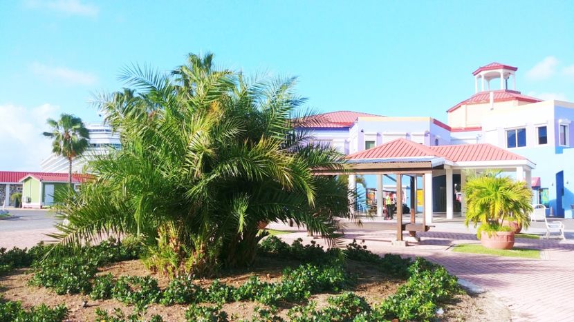  - 2023 CROAZIERA IN CARAIBE-CANARE-MEDITERANA DE VEST