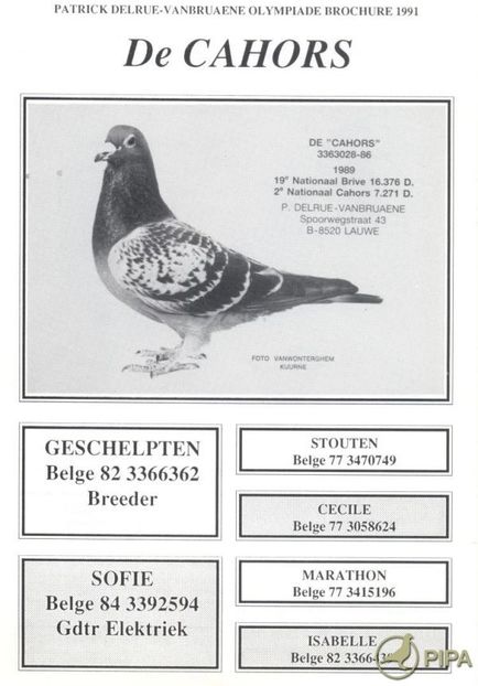 delruebe86-3363028_de_cahors_foto - 8 Patrick Delrue Vanbruaene