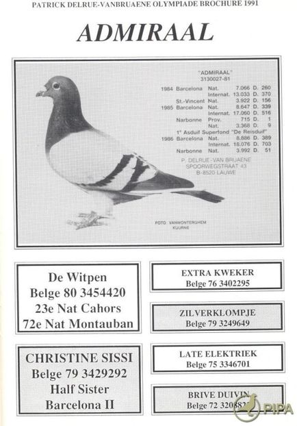 delruebe81-3130027_admiraal_foto - 8 Patrick Delrue Vanbruaene