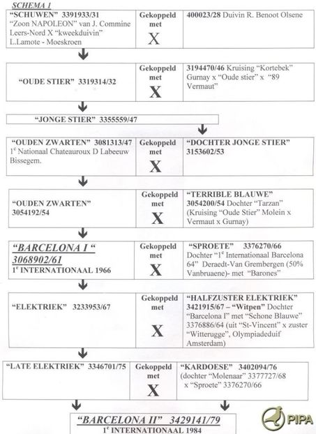 aaschema1_0 (1) - 1 Andre Vanbruaene O legendă