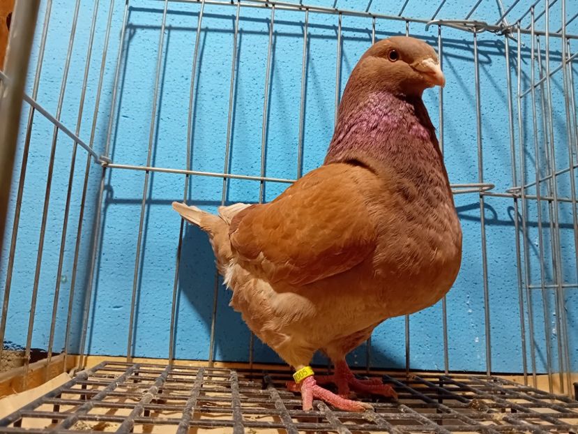 20240106_182326[1] - Amintiri