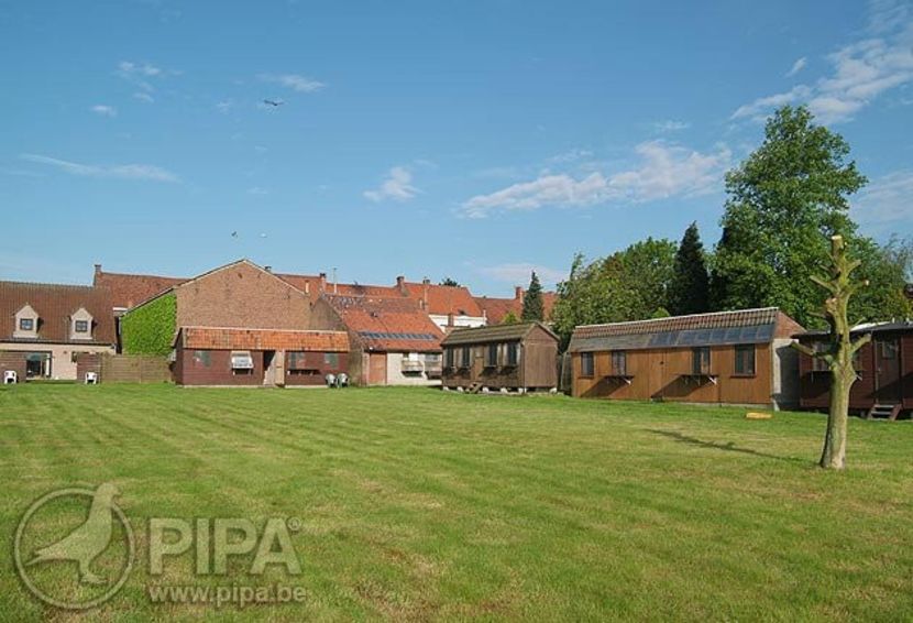 1-1 - 8 Patrick Delrue Vanbruaene