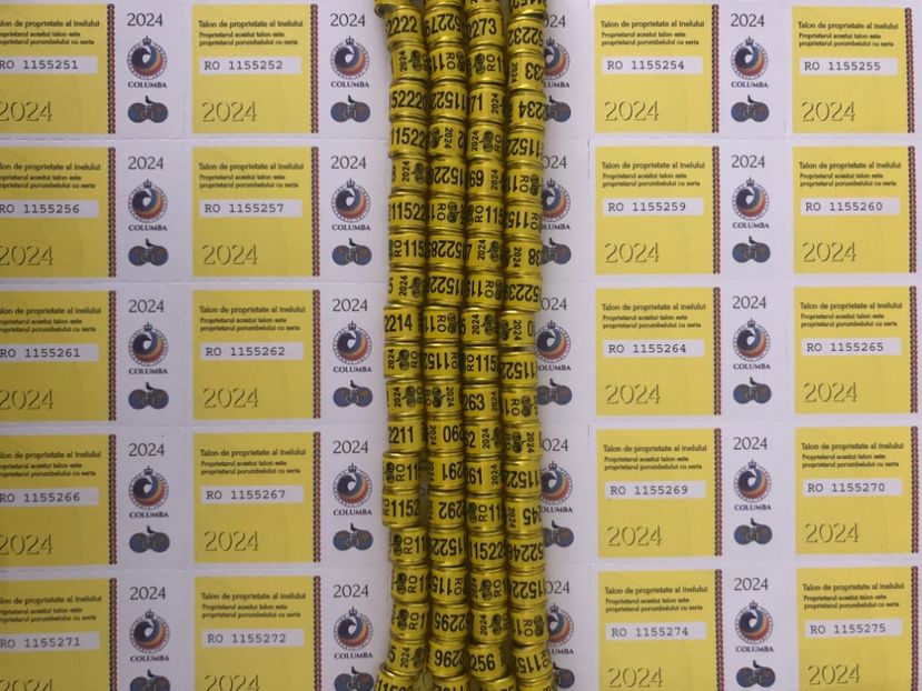  - 0 Inele FCI FCPR 2024