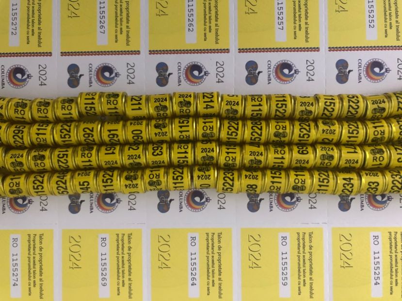  - 0 Inele FCI FCPR 2024