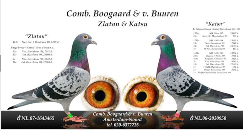 Screenshot_20240125-181134_Chrome - NEW GOOR - Original Ludo Haesen nepot GOOR 16 nat Barcelona Jos Thone