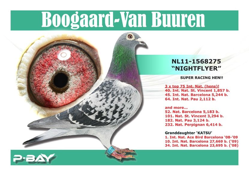  - NEW GOOR - Original Ludo Haesen nepot GOOR 16 nat Barcelona Jos Thone