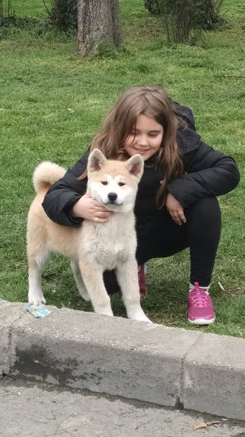 IMG-20230412-WA0003 - Akita Inu