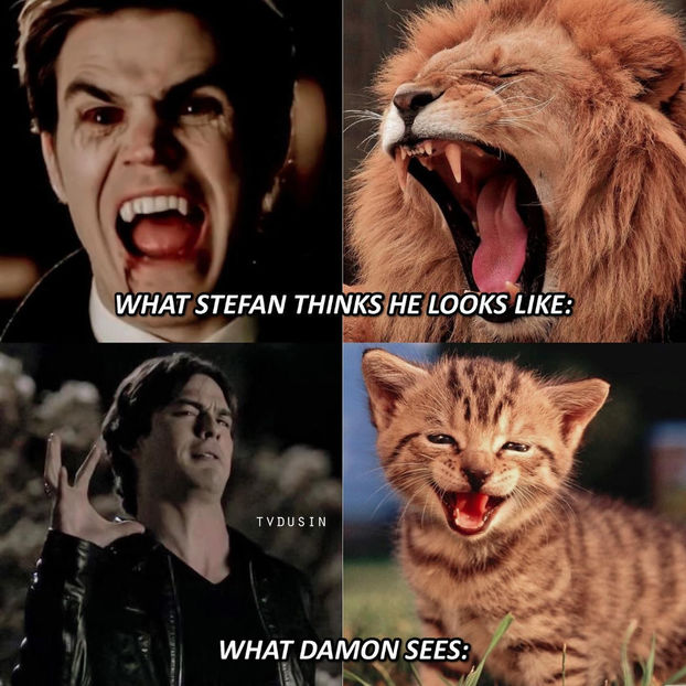  - random fantasyworld posts