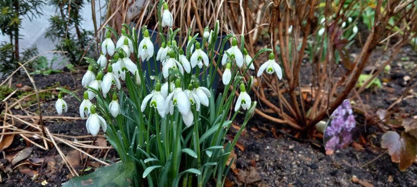  - 2023 - 04 - 2024 - 00 - Iarna