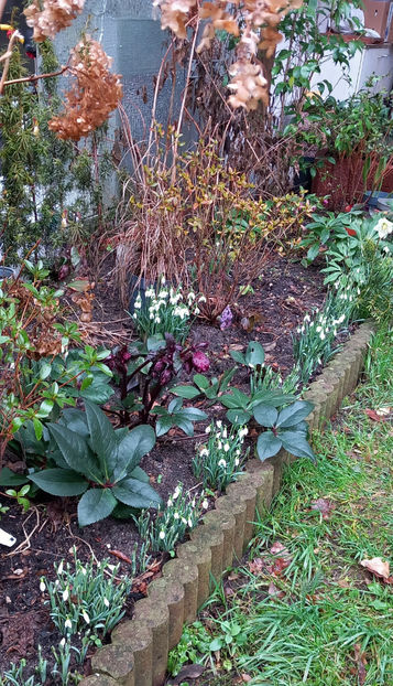  - 2023 - 04 - 2024 - 00 - Iarna