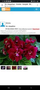 Screenshot_20240211_114821_Messenger - Pui disponibili 2024!