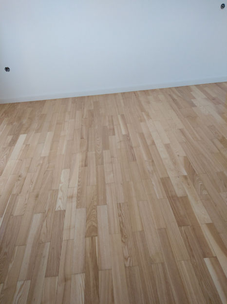  - 2023 Parchet Raschetat