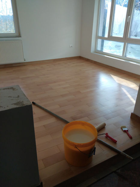  - 2024 Parchet Raschetat