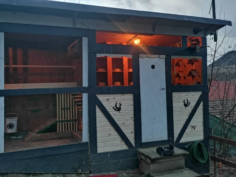  - Voliera de la țară!