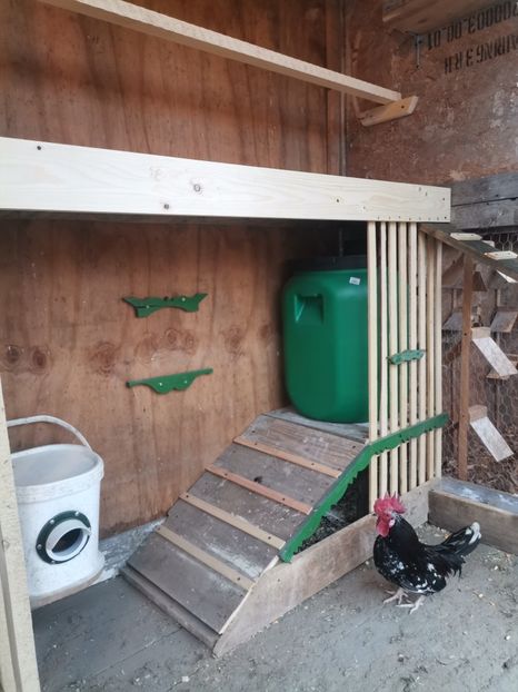  - Voliera de la țară!