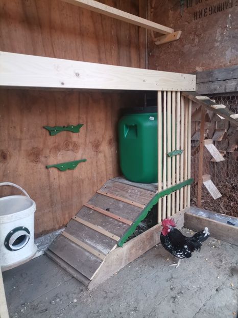  - Voliera de la țară!