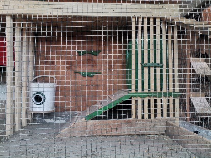  - Voliera de la țară!