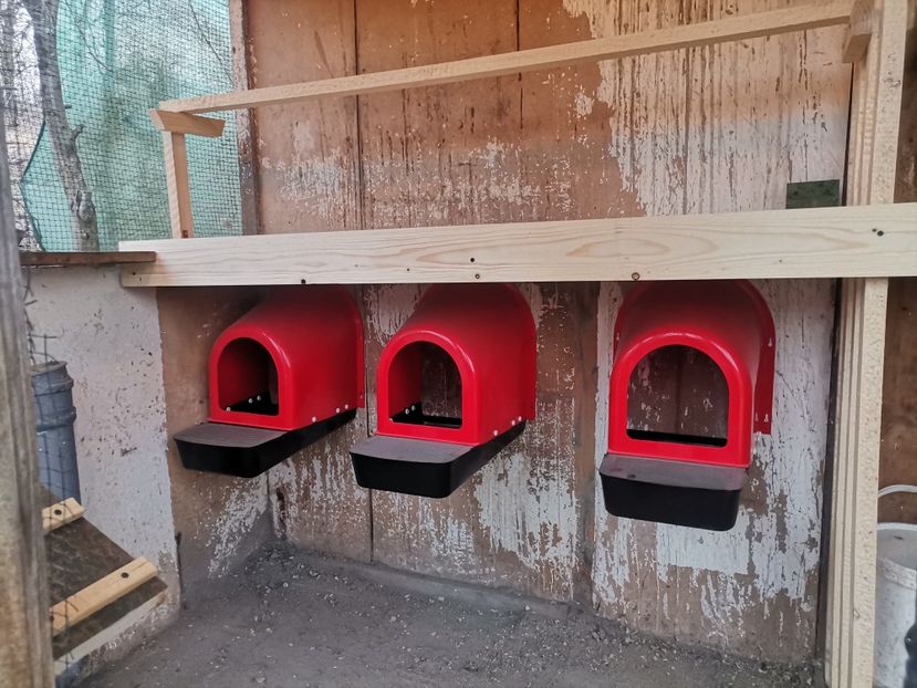  - Voliera de la țară!