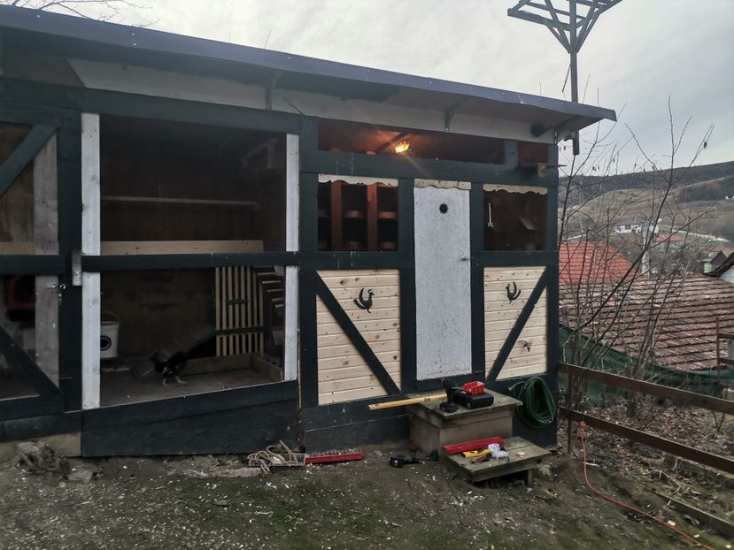  - Voliera de la țară!