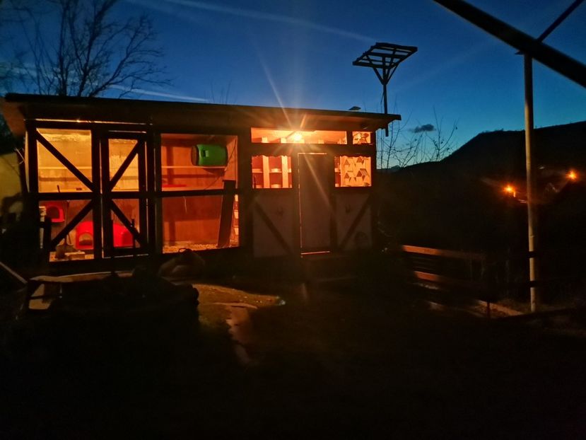  - Voliera de la țară!