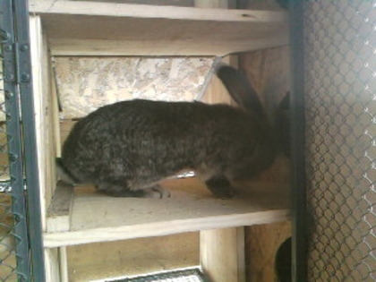 SPM_A0181 - CONTACT 0748783809