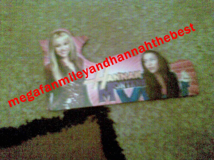 Imag065 - Lucrurile mele cu Hannah Montana si Miley Cyrus