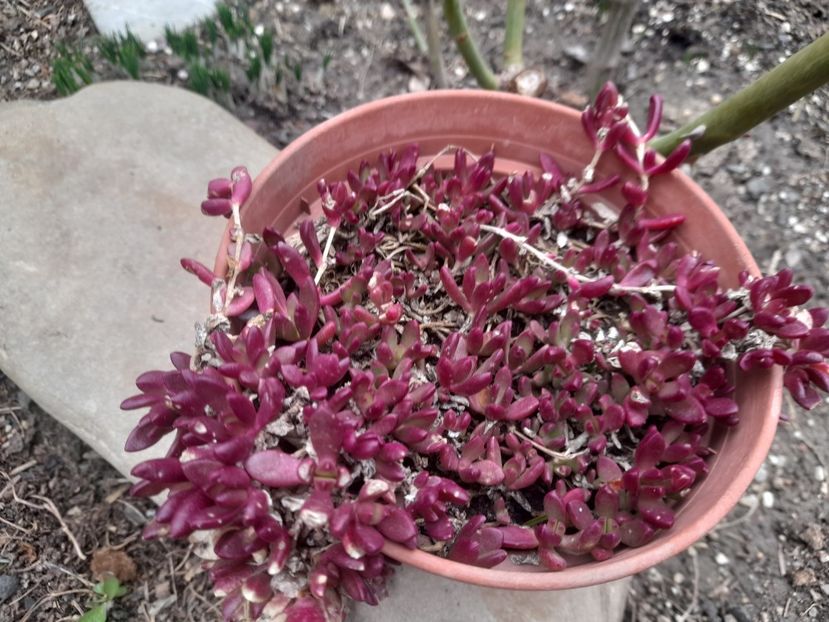  - 1 2024 Din nou cu natura impreuna !