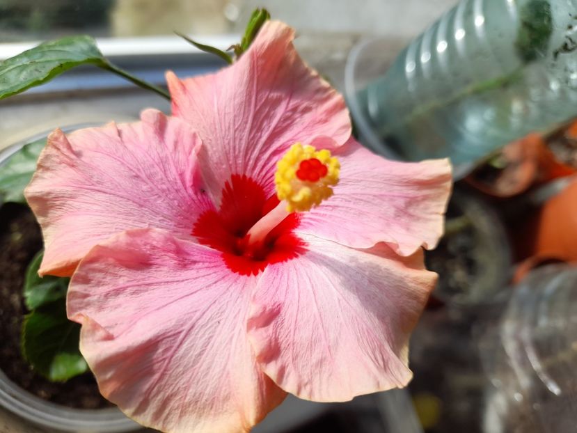  - 1 2024 Din nou cu natura impreuna !