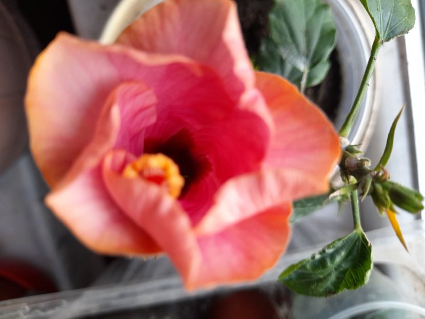  - 1 2024 Din nou cu natura impreuna !