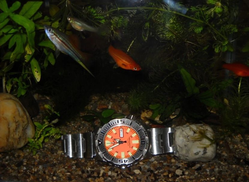 Monster Aqua - Ceasuri