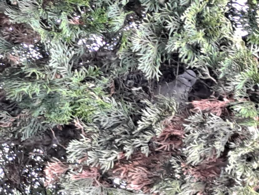  - FFORILE DE LA BAICOI 2023 - 2024 --------