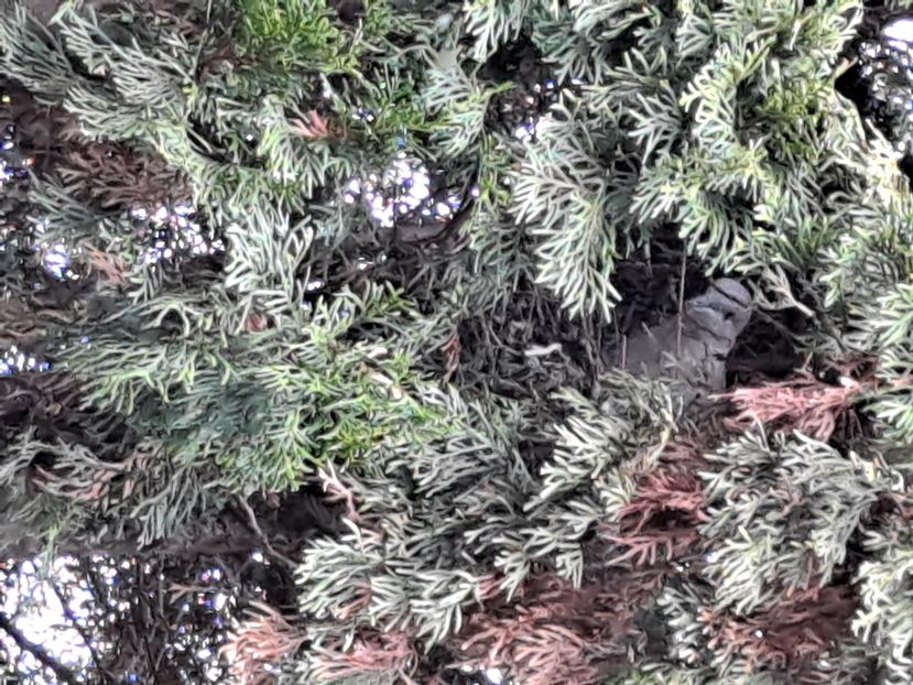  - FFORILE DE LA BAICOI 2023 - 2024 --------