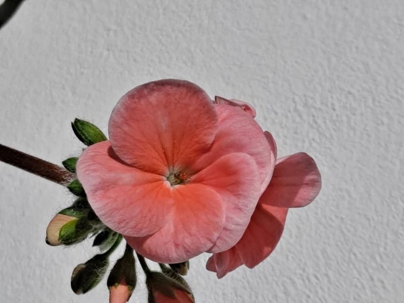  - FFORILE DE LA BAICOI 2023 - 2024 --------