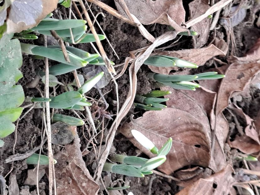  - FFORILE DE LA BAICOI 2023 - 2024 --------