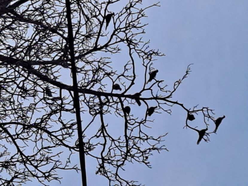  - FFORILE DE LA BAICOI 2023 - 2024 --------