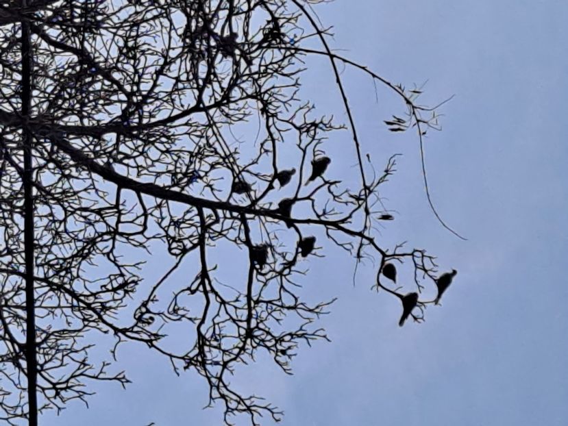  - FFORILE DE LA BAICOI 2023 - 2024 --------